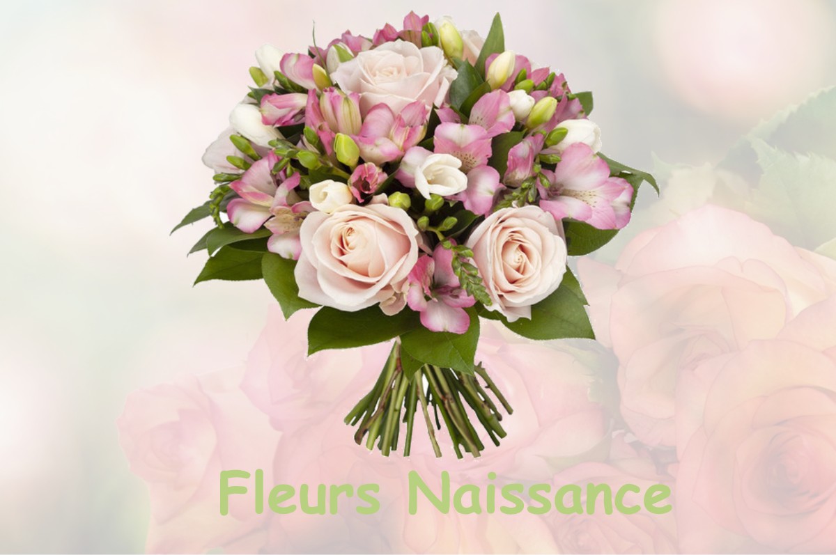 fleurs naissance SEYRE