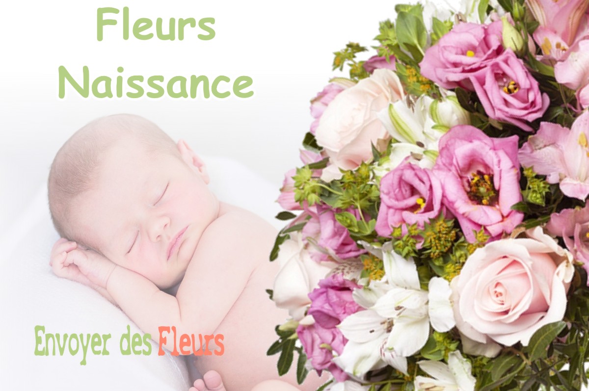 lIVRAISON FLEURS NAISSANCE à SEYRE