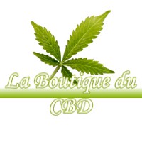 LA BOUTIQUE DU CBD SEYRE 